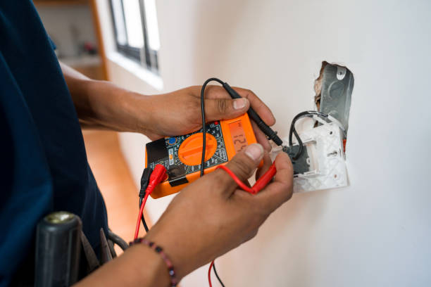 Best Electric Panel Repair  in Janesville, CA