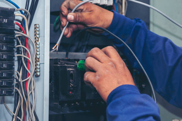 Best Electrical Upgrades for Homes  in Janesville, CA
